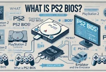 PS2 BIOS?