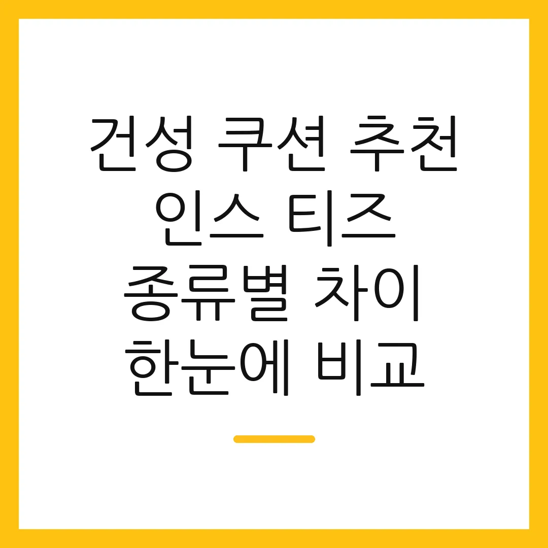 건성 쿠션 추천 인스 티즈 종류별 차이 한눈에 비교