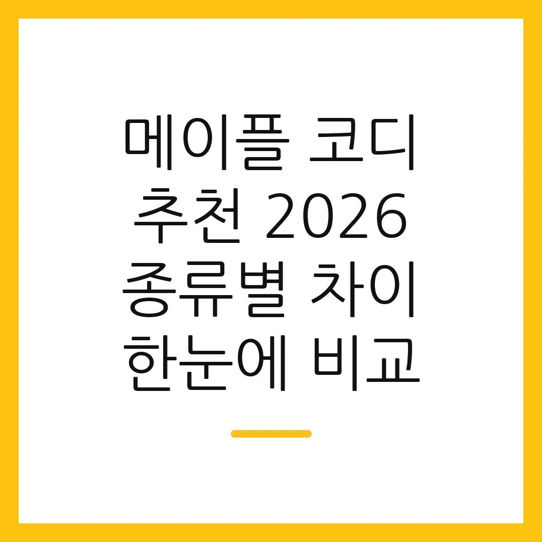 메이플 코디 추천 2026 종류별 차이 한눈에 비교