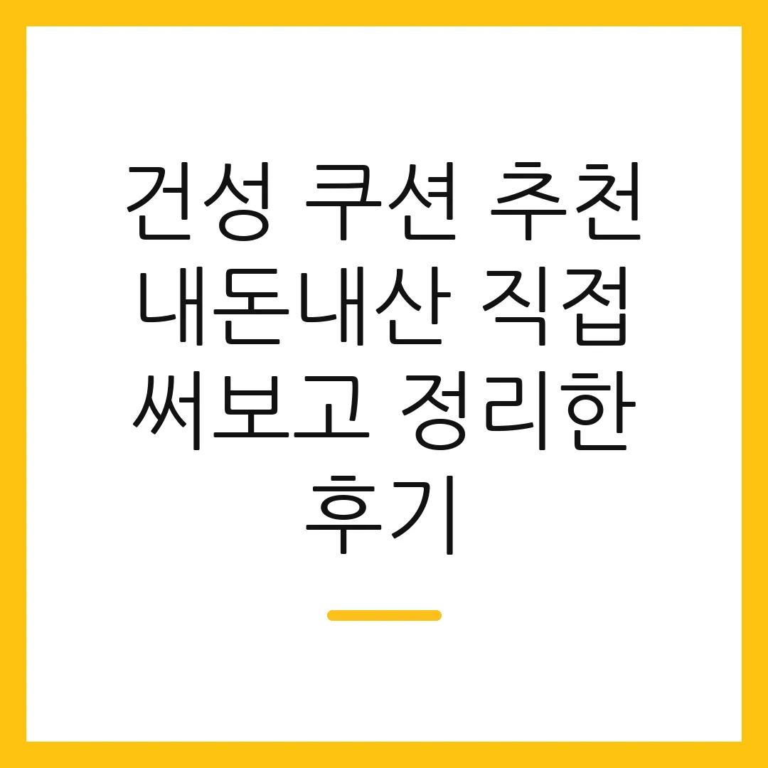 건성 쿠션 추천 내돈내산 직접 써보고 정리한 후기